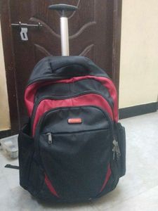 branded really in sholder bag imported