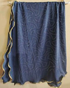 Stunning Embellished Blue Saree