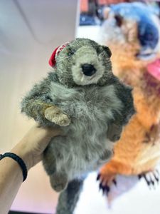 Cute Marmot Stuffed Animal