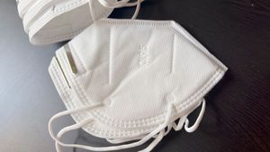pack of 10 - N95 Anti pollution/ Virus face mask