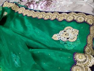 Elegant Green Saree with Gold Embroidery