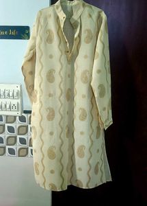 Men's Paisley Kurta