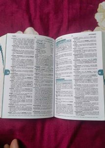 Cambridge School Dictionary