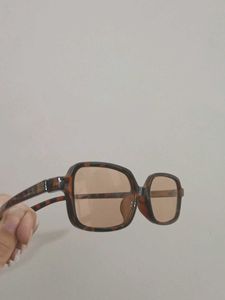 Retro Tinted Sunglasses