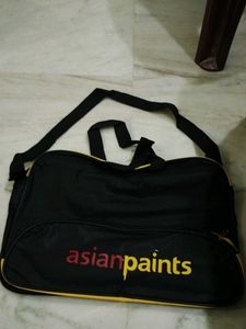 Asian Paints Travel Bag