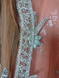 Beautiful Peach Embellishments Gown