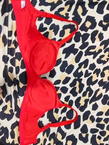 Red Embroidered Bra
