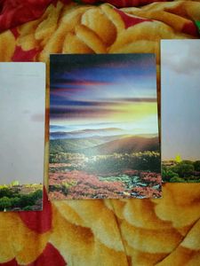 Hardboard  Penting