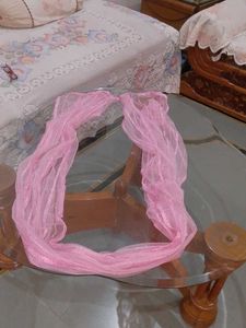 Sparkly Pink Net Dupatta