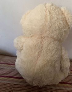 Cute Cream Teddy Bear
