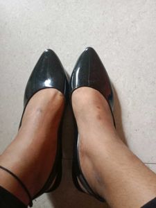 Black Bellies