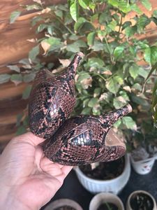 Stylish Snake Print Kitten Heels