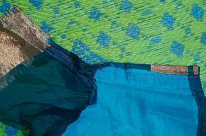 blue organza saree