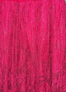 Chic Lace Ruffle Dress