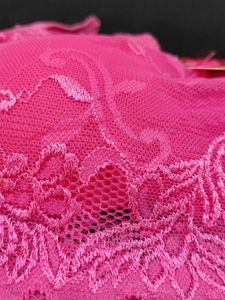 032 - Lace Net Bra Party Wear