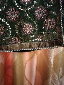 Organza Saree