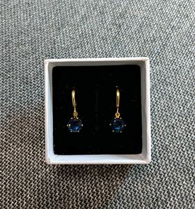 Elegant Blue Stone Earrings