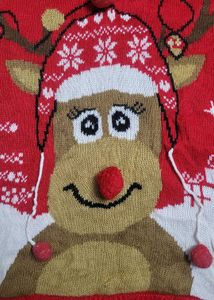Festive Reindeer Christmas Sweater