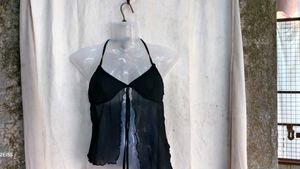 24810. Sheer Halter Neck Tie Front Top