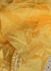 Yellow Sheer chaniya choli with Embellishment