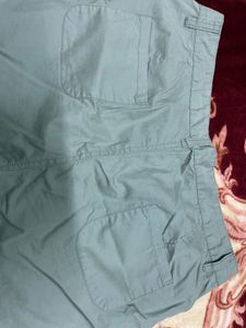 Light Green Casual Shorts