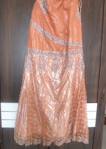 Fish cut Choli traditional