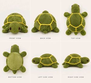 Cute Green Turtle Plush Toy