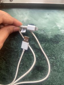 iPhone charger
