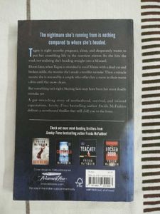 The Crash by Freida McFadden Thriller