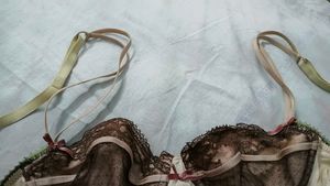 Lace Trimmed Underwire Bra