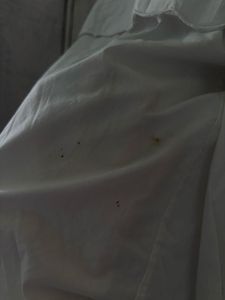White Button-Up Blouse with Oversized Collar