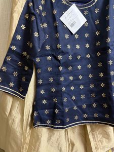 Beautiful Lehenga Choli Dress (M/34)