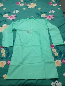 Men's Cyan Green Kurta