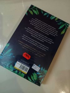 Cecelia Ahern Lyrebird Book