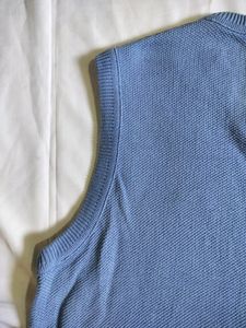 Pinterest aesthetic sweater vest
