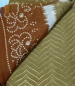 Stylish Green Saree with Maroon Border