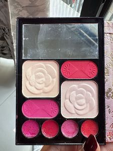 Cute Floral Pink Mini Makeup Kit