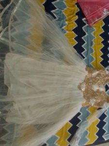 Golden Embroidered White Net Gown