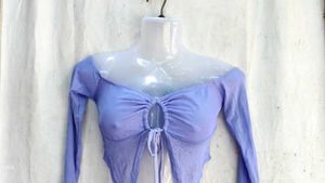 Sheer Mesh Off-Shoulder Top