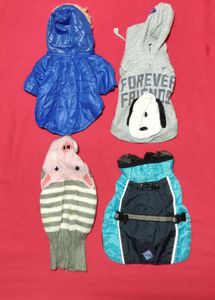Small Cat Jacket
