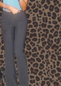 grey formal pant