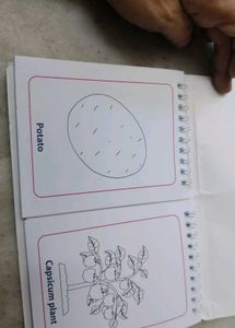 Vegetables colouring book