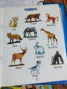 Kids ABCD Books