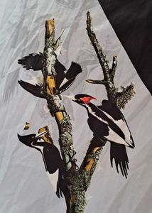 Unique Bird Print Kurta