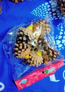 Natural Pinecones Pistachio Pine Cones Ornaments