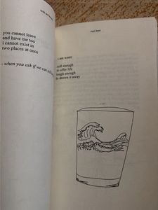Milk and Honey - Rupi Kaur