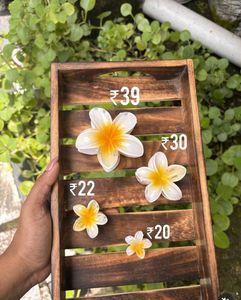 Acrylic Hair Clips, Strong Grip for Thick or