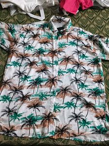 Men's Tropical Palm Tree Print Shirt