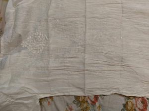 Elegant Off-White Embroidered Dupatta
