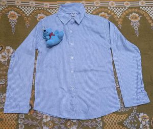 Blue Striped women's Shirt